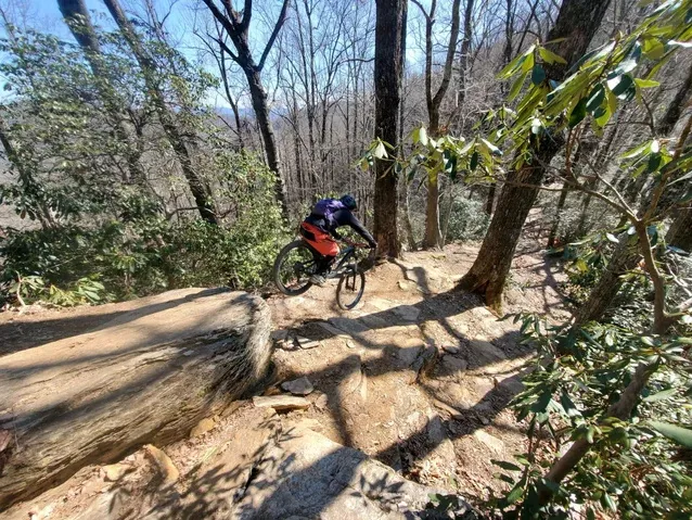 Mountain biker riding down a rocky technical section of Bennett Gap Trail through bare hardwoods and rhododendron in Pisgah