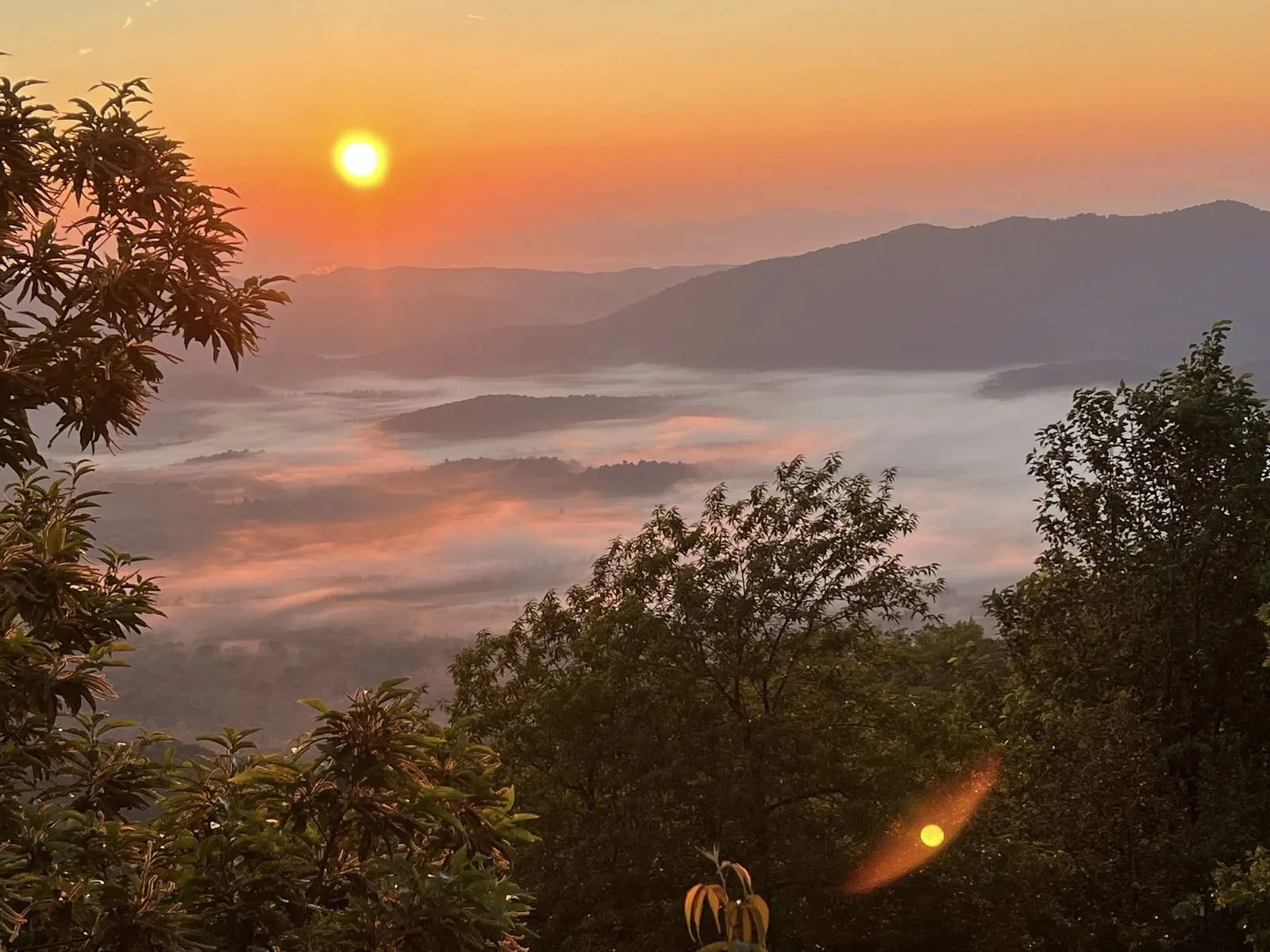 A sweeping 240-degree view from the Pounding Mill Overlook looking out across Pounding Mill Branch toward Looking Glass Rock