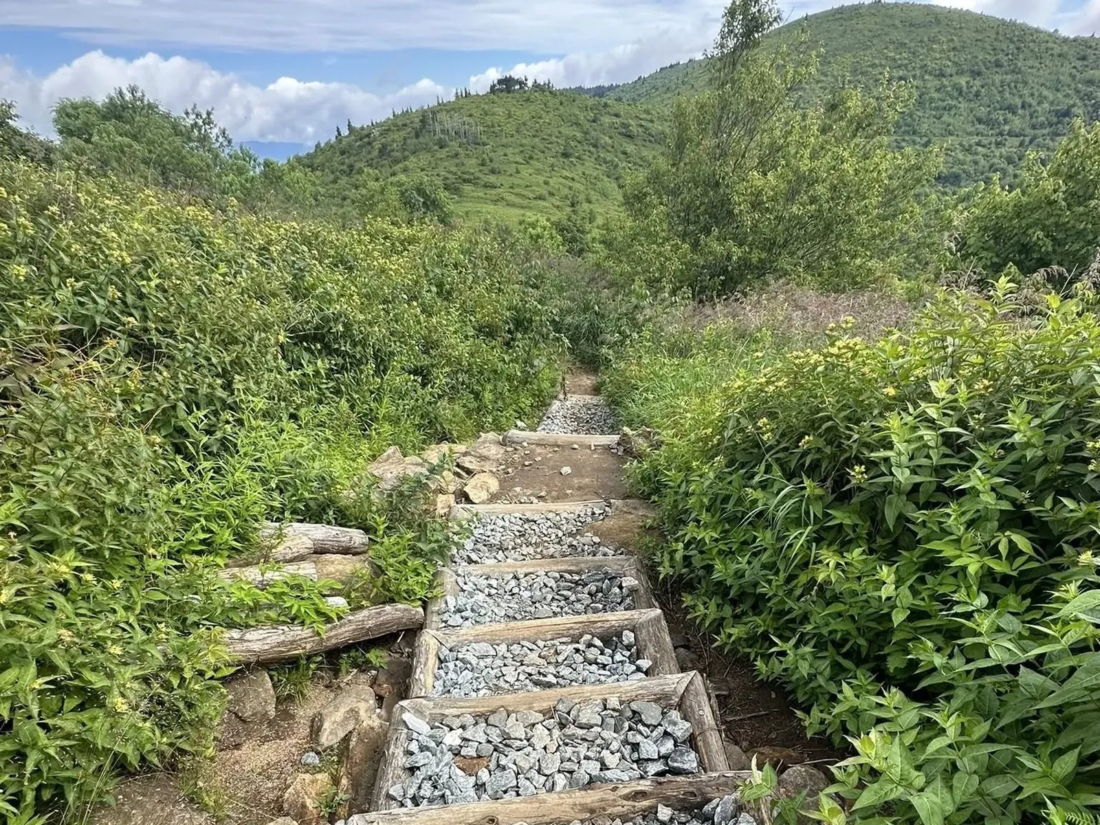 Open grassy bald on Black Balsam Knob with rocky outcrops and 360-degree views into the Shining Rock Wilderness