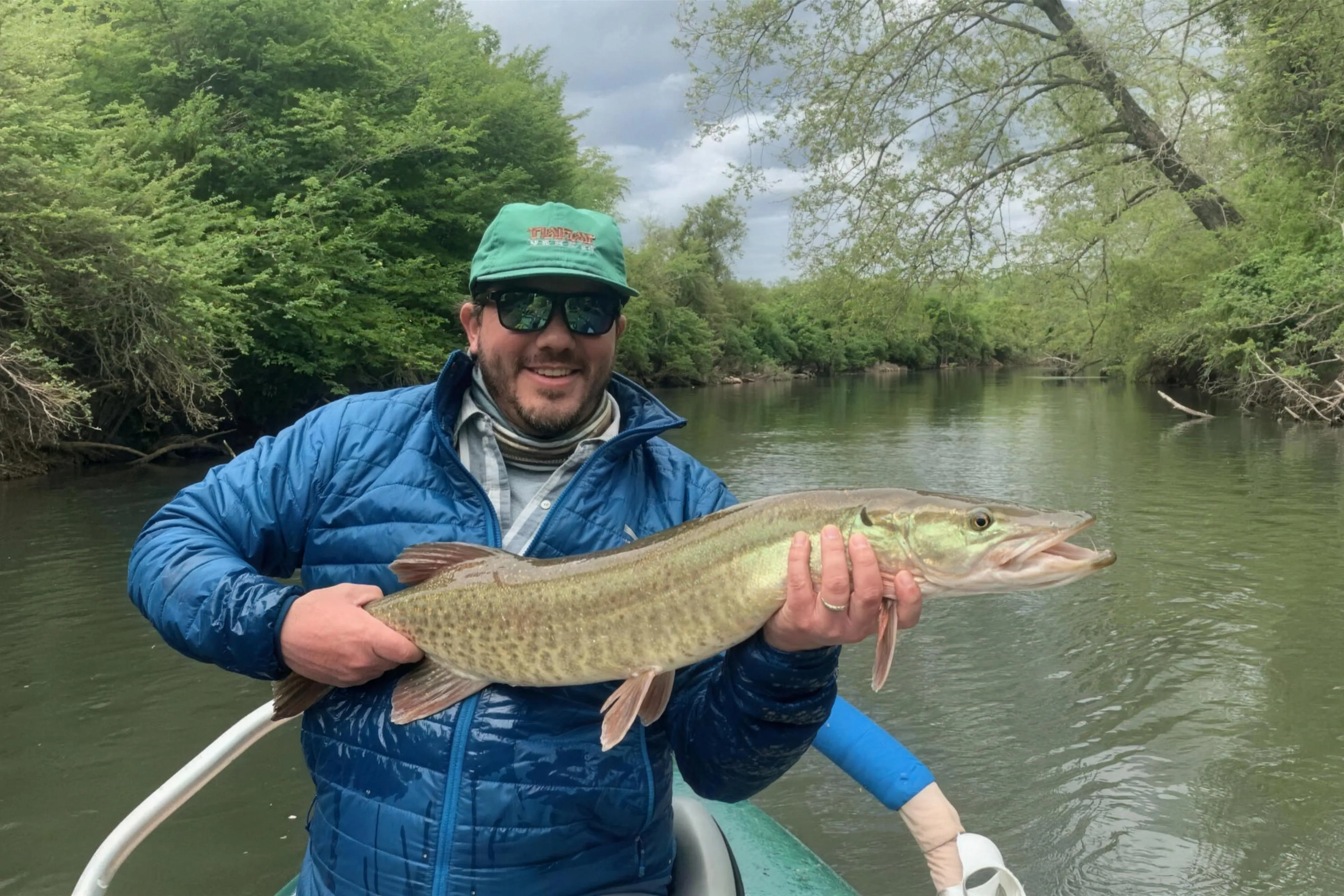 An angler in a blue jacket and green hat holding a large muskie horizontally on a drift boat on the French Broad River near Rosman, North Carolina